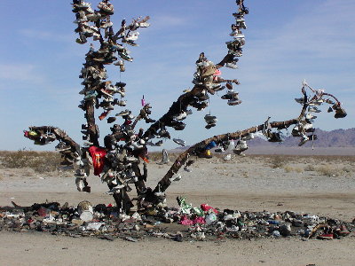 picture of shoes all over a tree