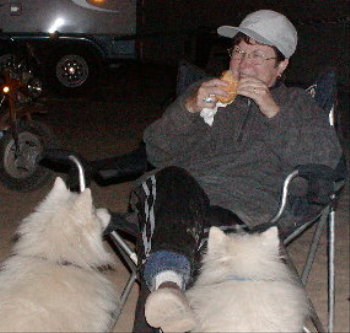 pic of Marilyn Pascoe and dogs