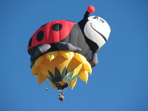 pic of ladybug balloon