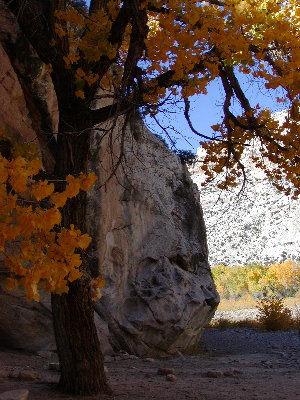 picture of scenery