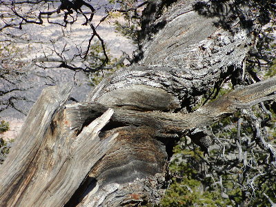 picture of scenery