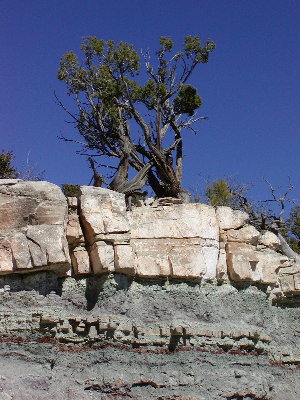 picture of BC scenery