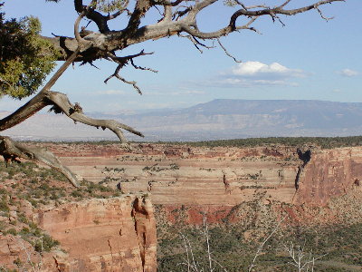 picture of scenery