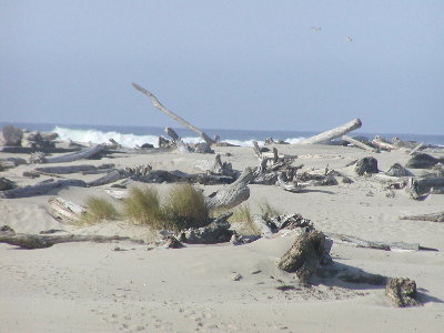 picture of scenery