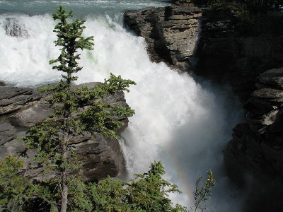 picture of scenery