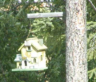 picture of fancy birdhouse