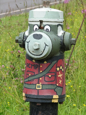 picture of an RCMP-painted hydrant